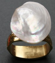 Mussel Shell Napkin Ring, Turner Bay