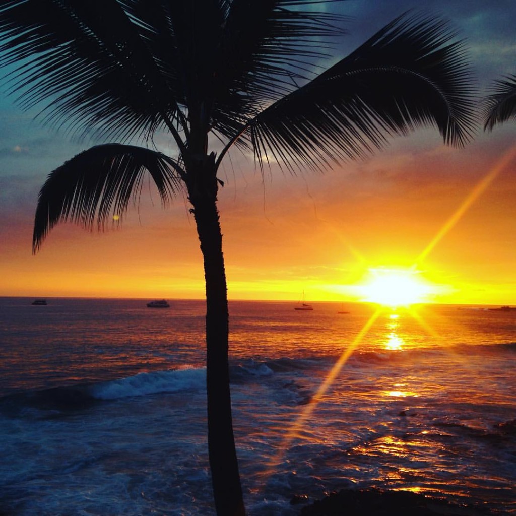 12017681_10153038905791176_4615955124120008146_o